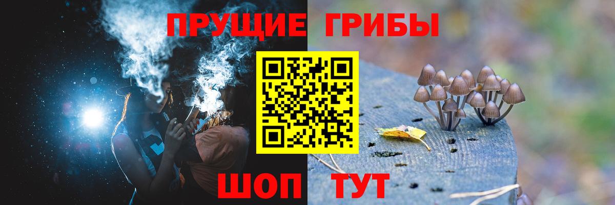Галлюциногенные грибы Magic Shrooms  Вход с VPN  Псилоцибиновые грибы прущие грибы  хочу   Кушва 